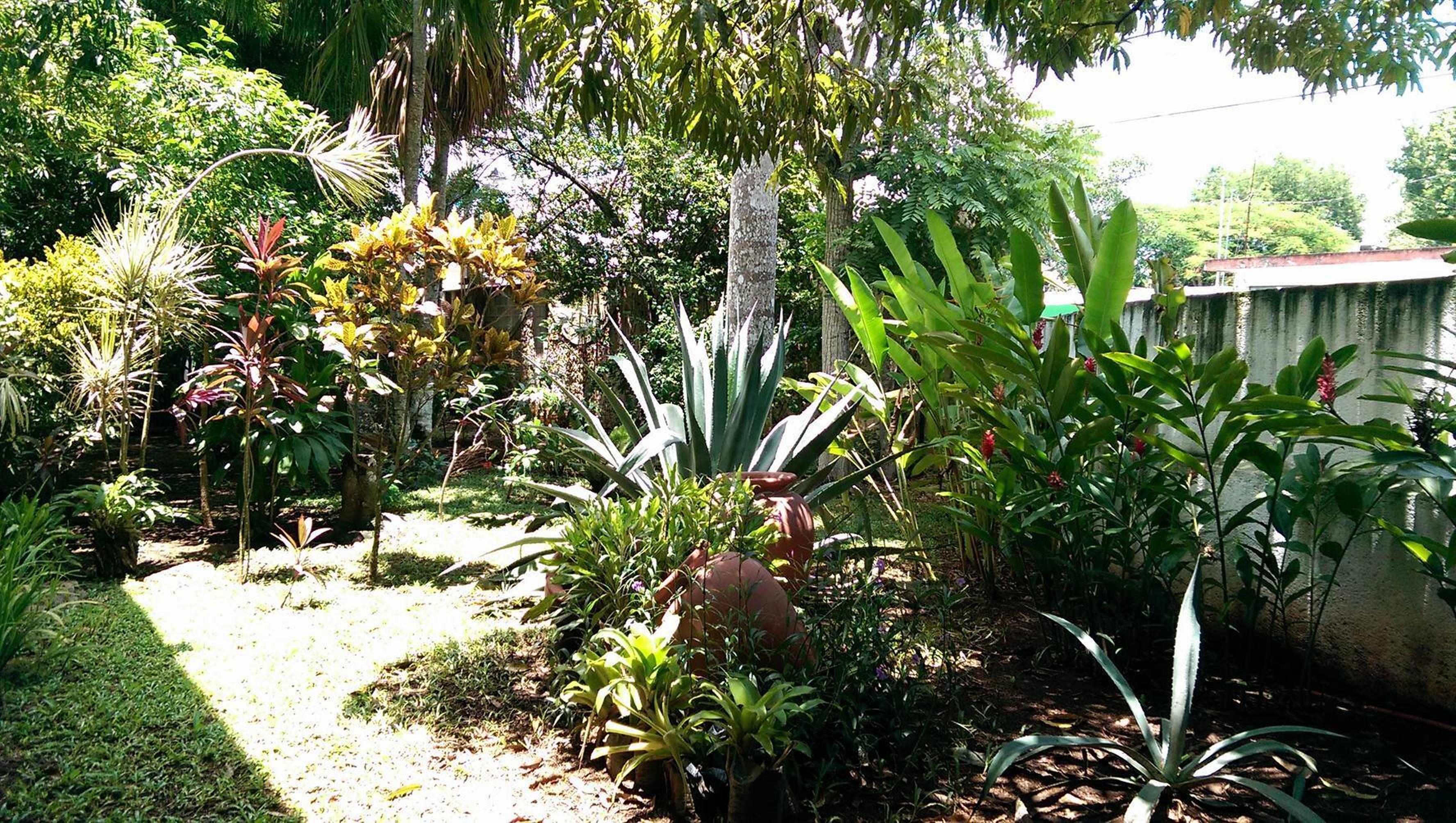 Ecotel Quinta Regia Valladolid  Bagian luar foto